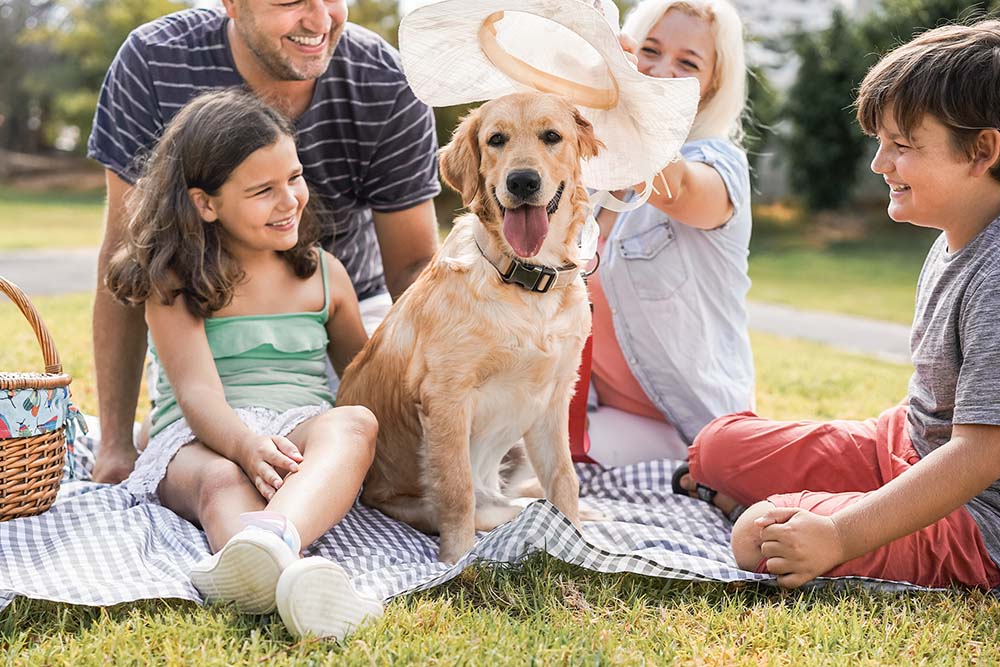 Family picnic with golden retriever wearing hat